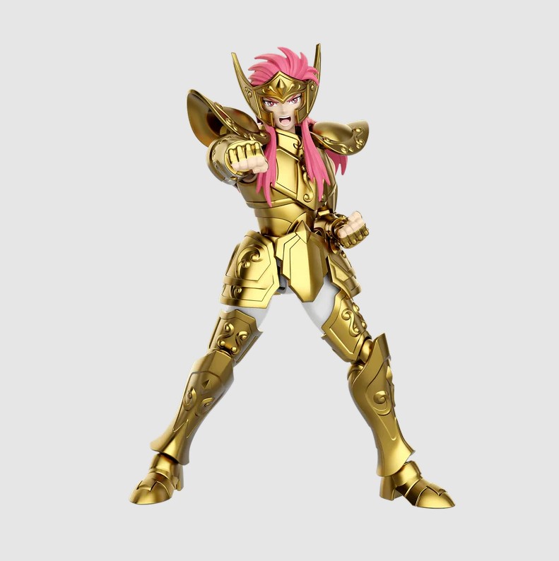 Camus Aquarius Blokees